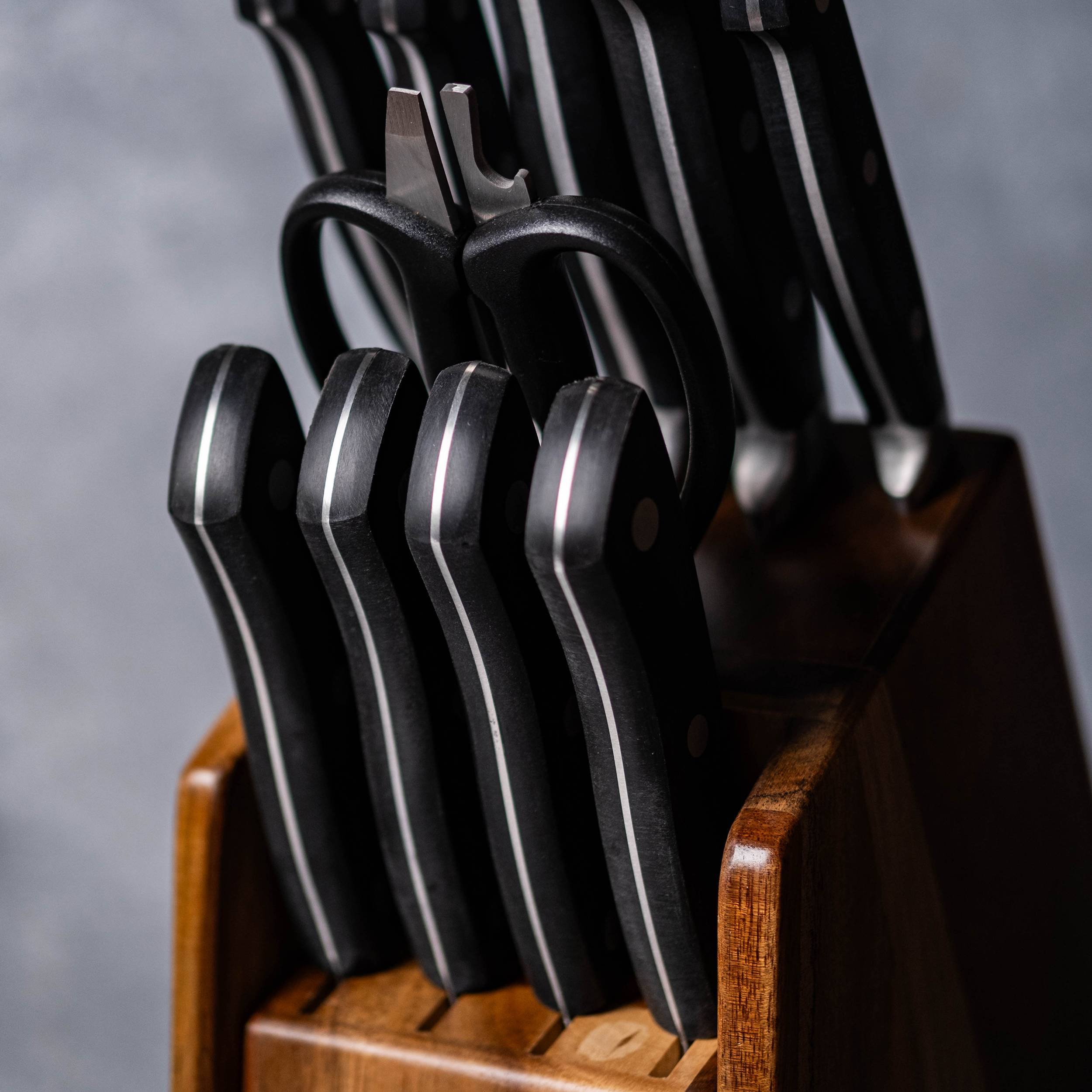 Bloc de couteaux 11 pièces Kutchin WOLFGANG STARKECuisine::pro®
